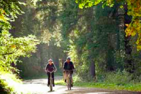 Cyclists in the Cotswolds